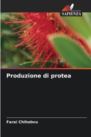 Produzione di protea (Italian Edition) 6209919316 Book Cover