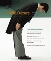 Public Life of History 0822366878 Book Cover