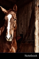 Notebook: Horse,  Herd,  Dust,  Nature themed Notebook / Journal / Diary / Composition book / Daily Planner - 6 x 9 inches (15,24 x 22,86 cm), 150 pages, glossy finish. 169922787X Book Cover