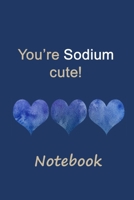 You're sodium cute! Notebook: 125 Page 6 x 9 Lined Notebook/Journal For Recording and Monitoring Low Salt Meals and Snacks 1675996962 Book Cover