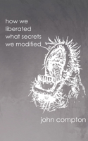 how we liberated what secrets we modified 1935847171 Book Cover