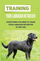 Training Your Labrador Retriever: Everything You Need To Train Your Labrador Retriever At Any Age: How Much Is Enough Exercise For Labrador Retriever B09C2ZRM7J Book Cover