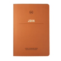 LSB Scripture Study Notebook - John 1636641261 Book Cover