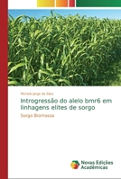 Introgress�o do alelo bmr6 em linhagens elites de sorgo 613980034X Book Cover