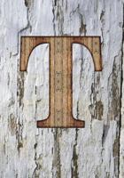 T: Monogram Notebook - College Ruled - Writers Notebook - Personalized Gift - Wood Plank Background 1722718587 Book Cover