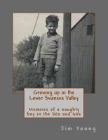Growing up in the Lower Swansea Valley: Memoirs of a naughty boy in the 50s and 60s 1530977746 Book Cover
