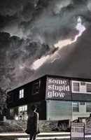 Some Stupid Glow: Stories 1943888310 Book Cover