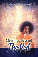 Meetings Beyond the Veil 1918900205 Book Cover