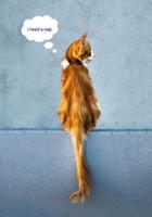 I Need a Nap: 7x10 Funny Composition Book: Wide Ruled 100 Pages: Perfect for People Who Love Cats & Napping! 1091994560 Book Cover