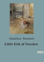 Little Erik of Sweden B0CGL3LDKH Book Cover
