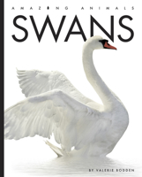Swans 1682771075 Book Cover