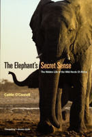 The Elephant's Secret Sense: The Hidden Life of the Wild Herds of Africa 0743284410 Book Cover