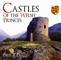 Castles of the Welsh Princes 0862439701 Book Cover