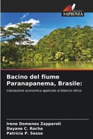 Bacino del fiume Paranapanema, Brasile:: Valutazione economica applicata al bilancio idrico 6206265293 Book Cover