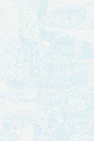 Plantation Castles on the Erne 1845889800 Book Cover