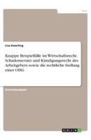 Knappe Beispielf�lle im Wirtschaftsrecht. Schadensersatz und K�ndigungsrecht des Arbeitgebers sowie die rechtliche Stellung einer OHG 3346315975 Book Cover