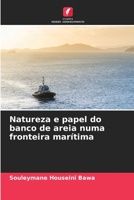 Natureza e papel do banco de areia numa fronteira marítima 6205938464 Book Cover