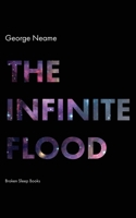 The Infinite Flood 191507956X Book Cover