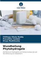 Wundheilung Phytohydrogele (German Edition) 6630185765 Book Cover