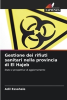 Gestione dei rifiuti sanitari nella provincia di El Hajeb: Stato e prospettive di aggiornamento 6205818248 Book Cover