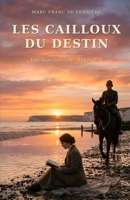 LES CAILLOUX DU DESTIN: Une saga familiale. 1613-2026 (French Edition) B0HCZXN89M Book Cover
