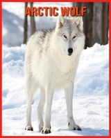 Arctic wolf: Incredible Pictures and Fun Facts about Arctic wolf B08W7JNVDG Book Cover