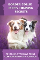 Border Collie Puppy Training Secrets: Tips To Help You Have Great Companionship With Your Dog: How To Use Positive Reinforcement In Border Collie Training B09CGBM63J Book Cover