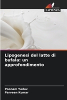 Lipogenesi del latte di bufala: un approfondimento 6205160463 Book Cover