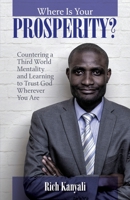Where is your Prosperity?: Countering a Third world mentality and learning to Trust God wherever you are. (978-1-64606-085-6) 1646060857 Book Cover