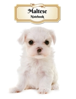 Maltese Notebook: Puppy - Composition Book 150 pages 8.5 x 11 in. - Wide Ruled - Writing Notebook - Lined Paper - Soft Cover - Plain Journal 1695343530 Book Cover