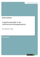 Vorgehensmodelle in der Softwareentwicklungsindustrie: Eine explorative Studie 3346323560 Book Cover