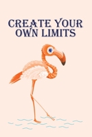 Create Your Own Limits: Cute Flamingo Journal for Women and Girls 1659845114 Book Cover