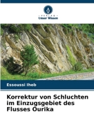 Korrektur von Schluchten im Einzugsgebiet des Flusses Ourika 6206059847 Book Cover