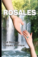 ROSALES: Nunca retes al destino... (Novelas acerca de relatos humanos, reales y ficticios rodeados de suspense y misterio con trepidante acción) (Spanish Edition) B0F7FQJC7Y Book Cover