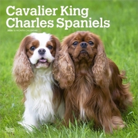 Cavalier King Charles Spaniels 2026 12 X 24 Inch (Hanging) Monthly Square Wall Calendar Plastic-Free B0DYLBLVD8 Book Cover