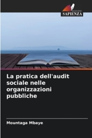 La pratica dell'audit sociale nelle organizzazioni pubbliche 6204128647 Book Cover