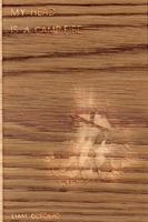 My Head Is a Campfire 1329400143 Book Cover