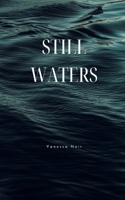 Still Waters B0F8L8TGLM Book Cover