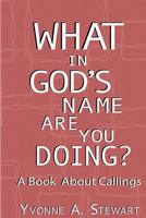 What In God's Name Are You Doing?: A Book About Callings 152364687X Book Cover
