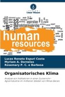 Organisatorisches Klima (German Edition) 6208189799 Book Cover