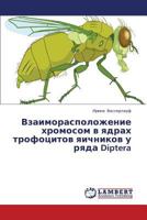 Vzaimoraspolozhenie khromosom v yadrakh trofotsitov yaichnikov u ryada Diptera 3659391727 Book Cover