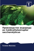 Производство водорода из Caldicellulosiruptor saccharolyticus 6206024253 Book Cover