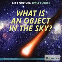 What Is an Object in the Sky? 1622754719 Book Cover