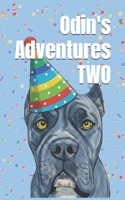 Odin's Adventures TWO B0GS8PZ76L Book Cover