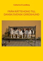 Från Råttehong till Dansk/svensk gårdshund (Swedish Edition) 918057467X Book Cover