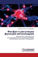 Фосфат в регуляции функций митохондрий: Механизмы стабилизации митохондриального генома у дрожжей Saccharomyces cerevisiae и Pichia pastoris 3843304661 Book Cover