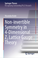 Non-Invertible Symmetry in 4-Dimensional Z2 Lattice Gauge Theory 9819622719 Book Cover