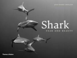 Shark: Fear and Beauty 0500517738 Book Cover