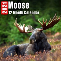 Calendar 2021 Moose: Cute Moose Photos Monthly Mini Calendar With Inspirational Quotes each Month B08DC1Z9M6 Book Cover