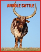 Ankole Cattle: Amazing Pictures & Fun Facts on Animals in Nature B08W7SNKVJ Book Cover